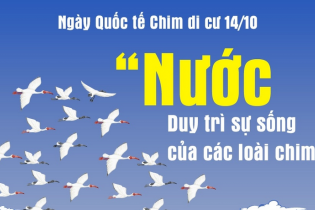 Ngày Quốc tế Chim di cư năm 2023 có chủ đề "Nước: Duy trì sự sống của các loài chim"