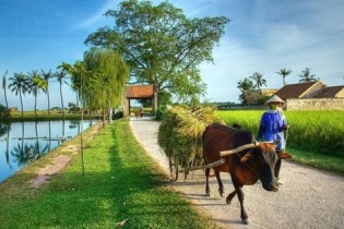 Thành lập Hội đồng thẩm định Báo cáo đề xuất điều chỉnh chủ trương đầu tư Chương trình mục tiêu quốc gia