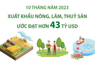 Xuất khẩu nông, lâm, thủy sản ước đạt hơn 43 tỷ USD sau 10 tháng năm 2023