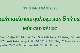 Xuất khẩu rau quả ước đạt mức cao kỷ lục hơn 5 tỷ USD sau 11 tháng năm 2023