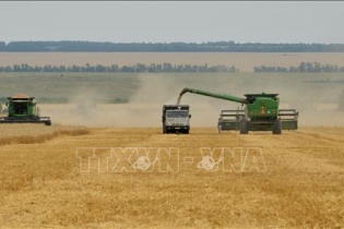 Nga tạm thời cấm xuất khẩu lúa mỳ cứng để đảm bảo an ninh lương thực