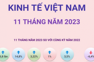 Kinh tế Việt Nam 11 tháng năm 2023 