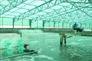 Quy hoạch tỉnh Bạc Liêu: Trở thành trung tâm công nghiệp tôm quốc gia, mạnh về kinh tế biển