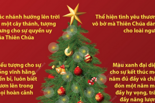 Cây thông Noel - biểu tượng cho lễ Giáng sinh