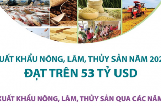 Xuất khẩu nông, lâm, thủy sản năm 2023 đạt trên 53 tỷ USD