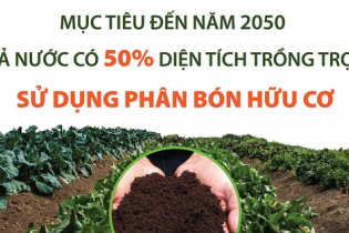 Hướng tới mục tiêu cả nước có 50% diện tích trồng trọt sử dụng phân bón hữu cơ