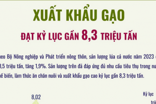 Xuất khẩu gạo năm 2023 đạt kỷ lục gần 8,3 triệu tấn
