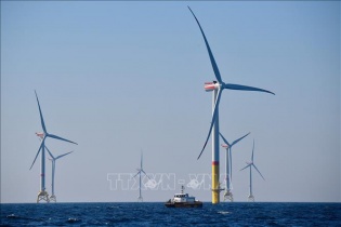 IEA: Công suất năng lượng tái tạo toàn cầu tăng 50% trong năm 2023