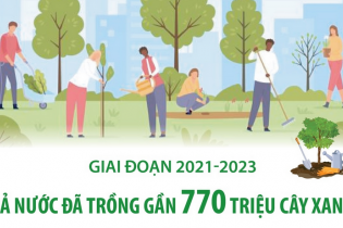 Cả nước đã trồng gần 770 triệu cây xanh trong giai đoạn 2021 - 2023