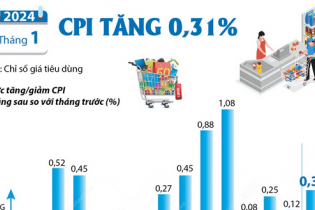 CPI tháng 1/2024 tăng 0,31%