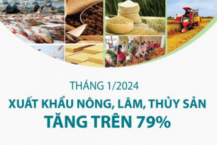 Tháng 1/2024: Xuất khẩu nông, lâm, thủy sản tăng trên 79% 