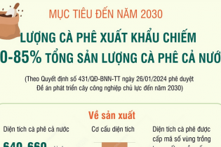 Mục tiêu đến năm 2030, lượng cà phê xuất khẩu chiếm 80 - 85% tổng sản lượng cà phê cả nước