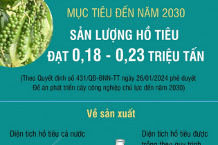 Mục tiêu đến năm 2030, sản lượng hồ tiêu đạt 0,18 - 0,23 triệu tấn
