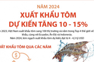 Dự báo xuất khẩu tôm sẽ phục hồi và tăng nhẹ từ 10 - 15% năm 2024