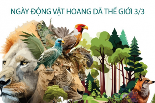 Ngày Động vật hoang dã thế giới (3/3): Làm gì để bảo vệ động vật hoang dã?