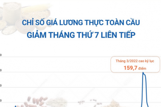 FAO: Chỉ số giá lương thực toàn cầu giảm tháng thứ 7 liên tiếp