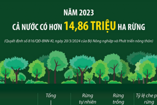 Cả nước có hơn 14,86 triệu ha rừng