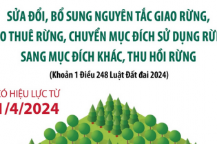 Nguyên tắc giao rừng, cho thuê rừng, chuyển mục đích sử dụng rừng, thu hồi rừng