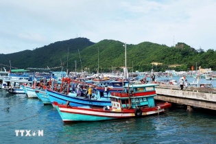 Sửa đổi, bổ sung quy định về cơ sở đào tạo, bồi dưỡng thuyền viên tàu cá