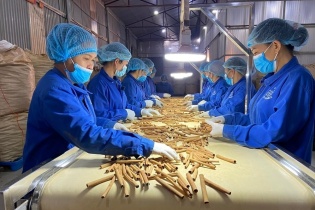 Thủ tướng chỉ đạo sửa đổi quy định, tháo gỡ khó khăn cho hoạt động xuất khẩu dược liệu