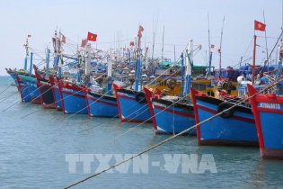 Chương trình hành động của Chính phủ chống khai thác thủy sản bất hợp pháp