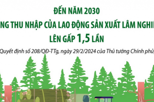 Mục tiêu đến năm 2030, thu nhập của lao động sản xuất lâm nghiệp tăng lên gấp 1,5 lần
