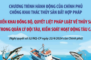 Triển khai đồng bộ, quyết liệt pháp luật về thủy sản trong quản lý đội tàu, kiểm soát hoạt động tàu cá