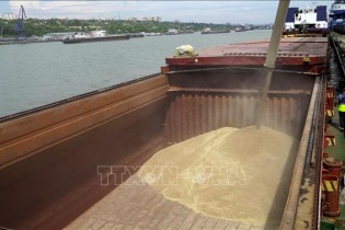 Nga: Đợt lạnh và băng tuyết bất thường khiến lúa mỳ, ngô đứng trước nguy cơ mất mùa