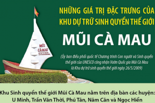 Những giá trị đặc trưng của Khu dự trữ sinh quyển thế giới Mũi Cà Mau