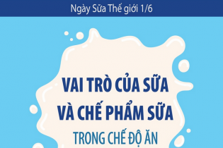 Ngày Sữa Thế giới 1/6: Vai trò của sữa và chế phẩm sữa trong chế độ ăn