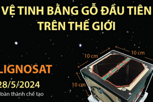 LignoSat - Vệ tinh bằng gỗ đầu tiên trên thế giới