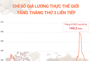 FAO: Chỉ số giá lương thực thế giới tăng tháng thứ 3 liên tiếp