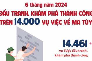 Đấu tranh, khám phá thành công 14.461 vụ việc về ma túy sau 6 tháng năm 2024