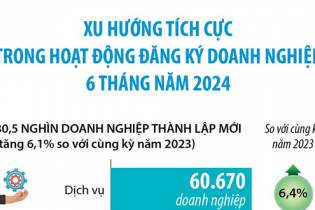 Xu hướng tích cực trong hoạt động đăng ký doanh nghiệp 6 tháng năm 2024