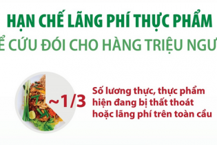 Hạn chế lãng phí thực phẩm để cứu đói cho hàng triệu người
