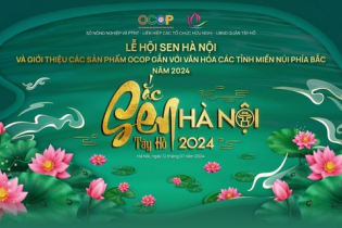Lễ hội Sen Hà Nội 2024 với nhiều hoạt động đặc sắc