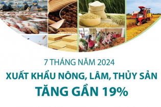 Xuất khẩu nông, lâm, thủy sản tăng gần 19% sau 7 tháng năm 2024