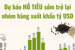 Dự báo hồ tiêu Việt Nam sớm trở lại nhóm hàng xuất khẩu tỷ đô