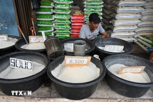 FAO: Chỉ số giá lương thực thế giới giảm nhẹ trong tháng 8/2024