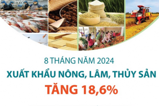 Xuất khẩu nông, lâm, thủy sản tăng 18,6% sau 8 tháng năm 2024