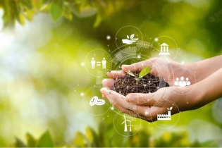Hoàn thiện dự thảo sửa đổi Nghị định quy định chi tiết một số điều của Luật Bảo vệ môi trường