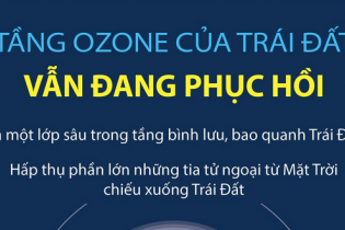 Tầng ozone của Trái Đất vẫn đang phục hồi
