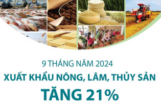 Xuất khẩu nông, lâm, thủy sản tăng 21% sau 9 tháng năm 2024