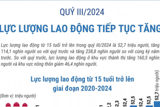 Lực lượng lao động quý III/2024 tăng 114,1 nghìn người so với quý trước