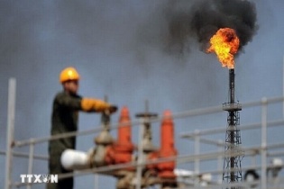 OPEC hạ mức dự báo tăng trưởng nhu cầu dầu mỏ toàn cầu năm 2024