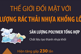 Thế giới đối mặt với lượng rác thải nhựa khổng lồ