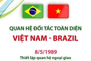 Quan hệ Đối tác toàn diện Việt Nam - Brazil