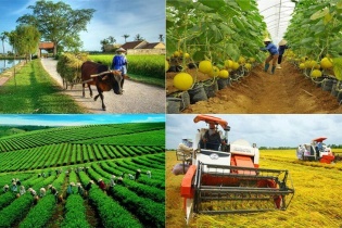 Phê duyệt danh sách thành viên Ban Chỉ đạo quốc gia về kinh tế tập thể
