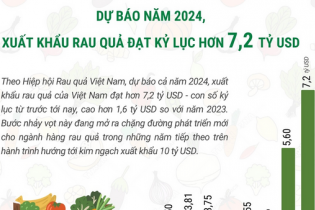 Dự báo năm 2024, xuất khẩu rau quả đạt kỷ lục hơn 7,2 tỷ USD