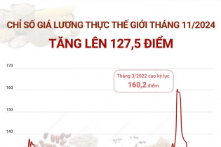 FAO: Chỉ số giá lương thực thế giới tăng lên mức cao nhất trong vòng 19 tháng qua